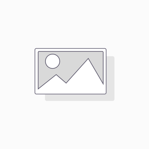 Website Development
